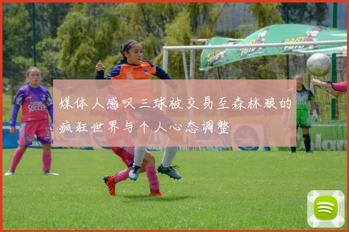 媒体人感叹三球被交易至森林狼的疯狂世界与个人心态调整