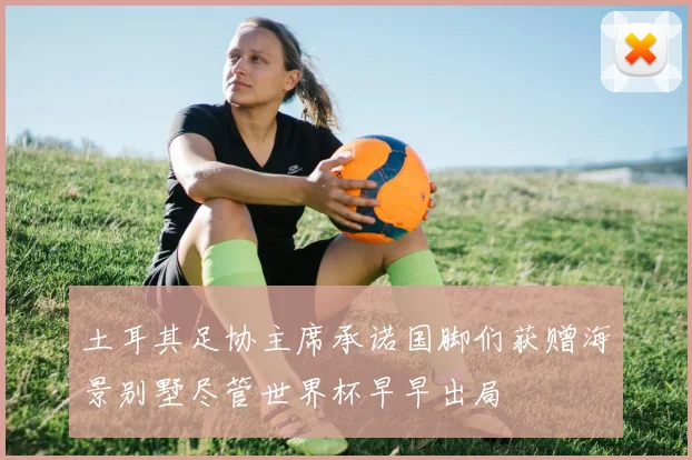 土耳其足协主席承诺国脚们获赠海景别墅尽管世界杯早早出局